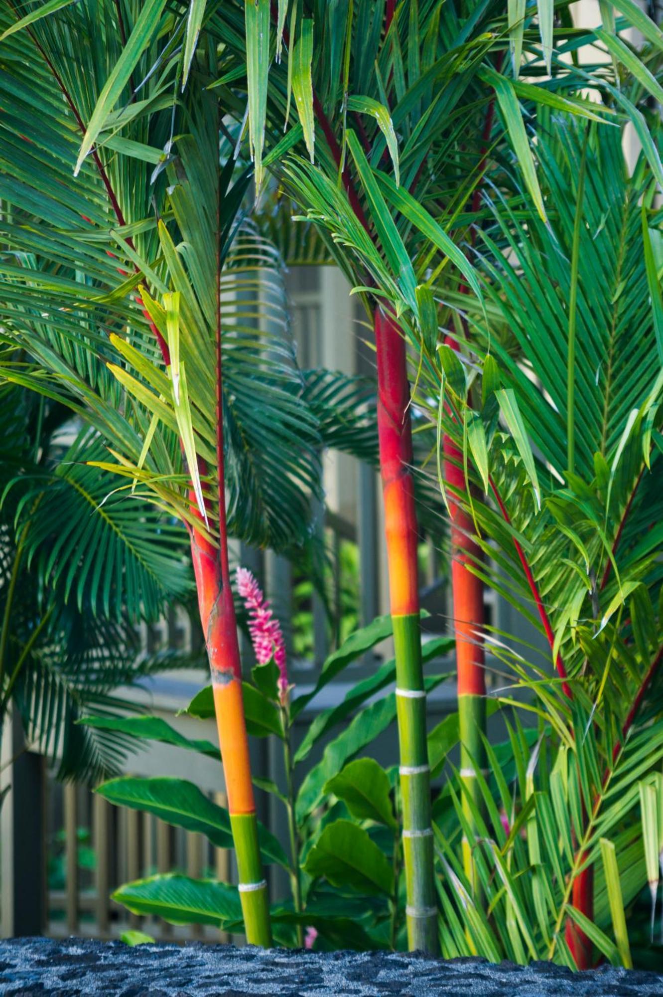 Hana Kai Maui - #107 Kama Partial Oceanview 1 Br Exterior photo