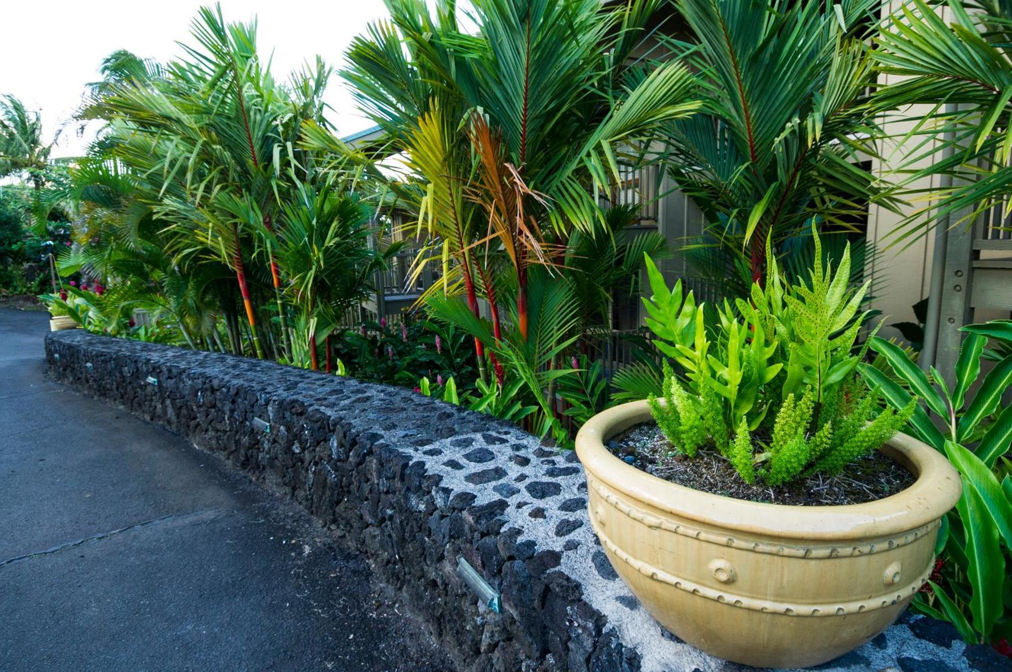 Hana Kai Maui - #107 Kama Partial Oceanview 1 Br Exterior photo